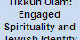 Tikkun Olam Engaged Spirituality and Jewish Identity